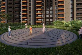 Senior CItizen Wellness